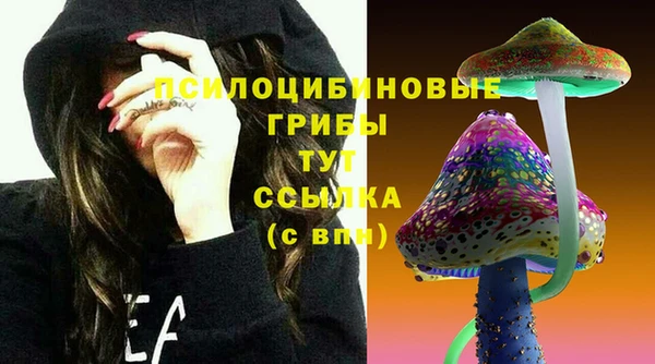 шишки Губаха