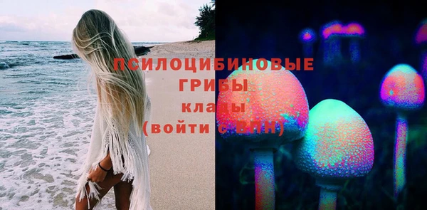мдма Новодвинск