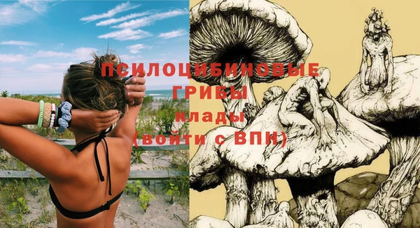 трава Новокубанск