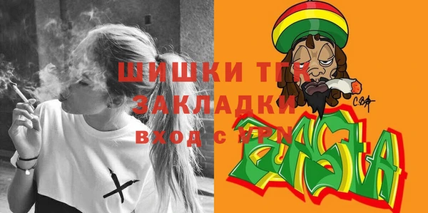 сатива Грязи