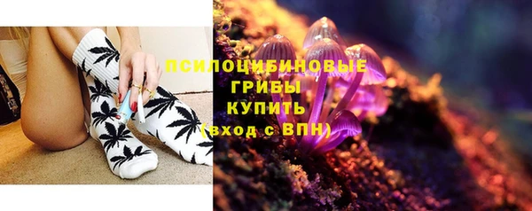 дмт Нязепетровск